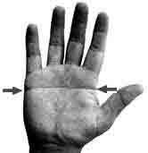 3f4db354cdbdd8ae907e2f1ffb00a9d1