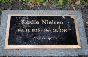 62278982_129636981488