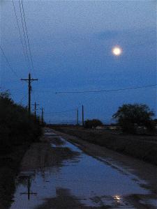 film-noir-ed-harris-madeleine-stowe-china-moon-1994-moon-twilight-casa-grande-arizona-2004-david-lee-guss