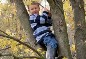 stonebury_learning_climb_tree_boy