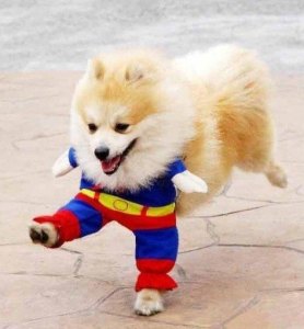 UT89QiEXn0cXXagOFbXn