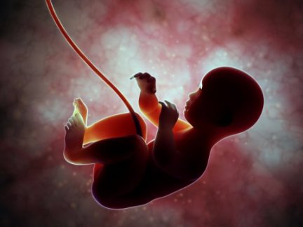 fetus-baby-womb-uterus-light-shutterstock133423673