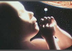 ea3d0acf8390f1de897a1936897f-what-is-the-reason-for-our-existence