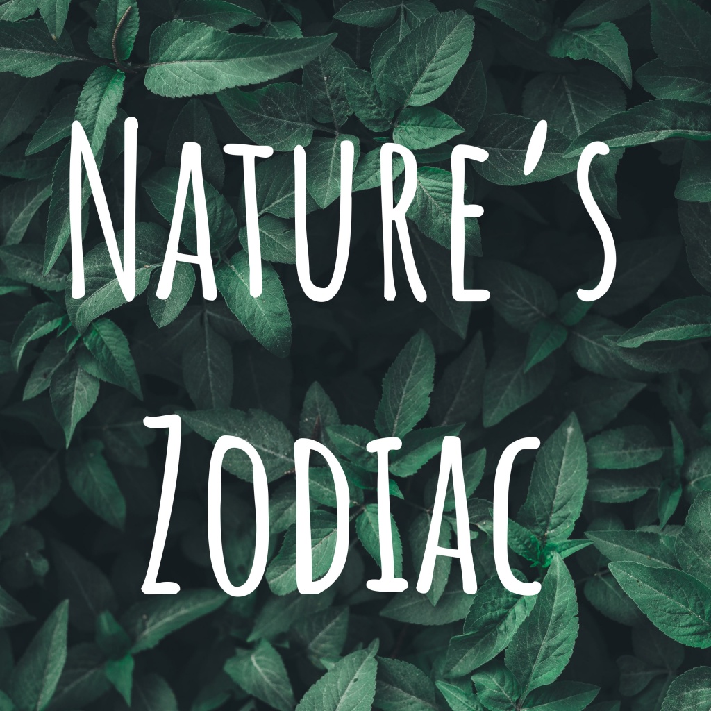 Nature’s Zodiac Podcast. Using the Zodiac Signs as a Guide to a Philosophy of Nature.