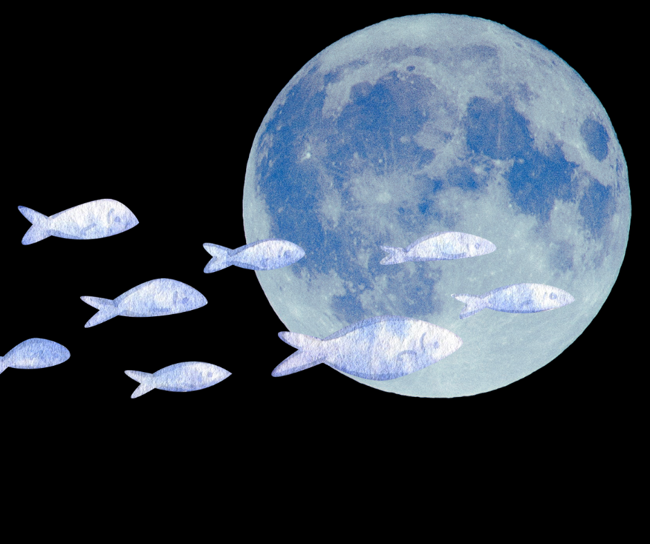 Effective Calm. Blue Supermoon in Pisces.